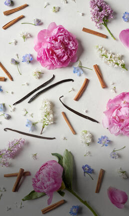 peonies, hydrangea blossoms, vanilla bean pods and cinnamon sticks